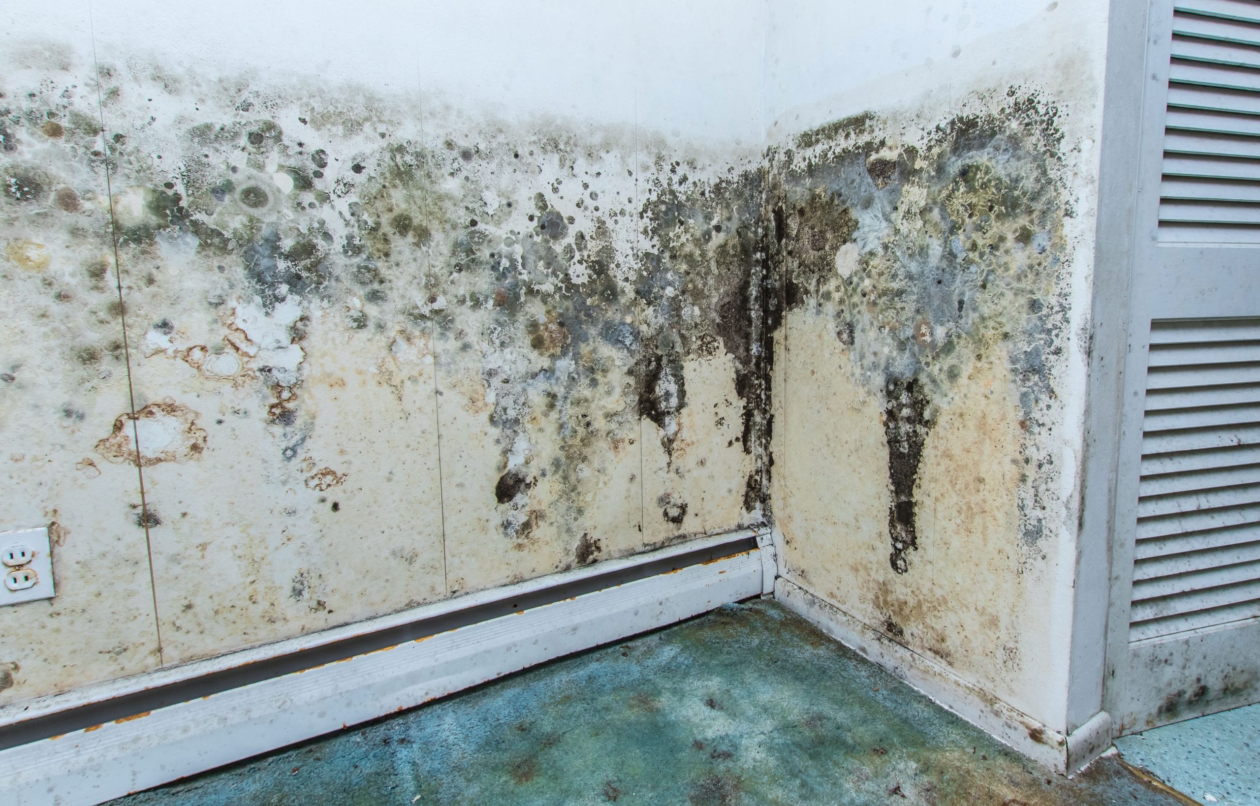residential mold removal experts in Diamond Bar